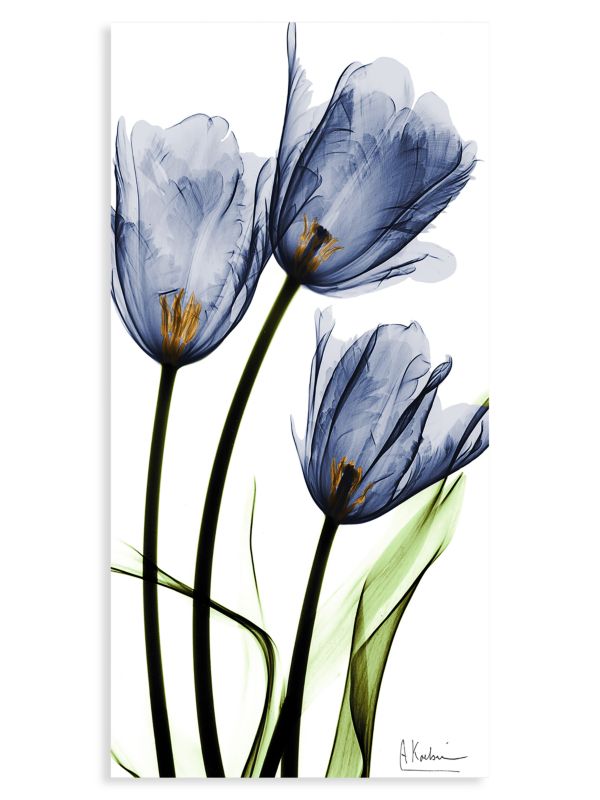 Empire Art Direct Tulip Frameless Free Floating Tempered Glass Wall Art